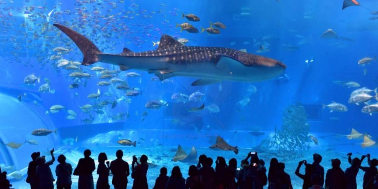 グランディオーソ沖縄ヴィラ恩納1 Onna Extérieur photo